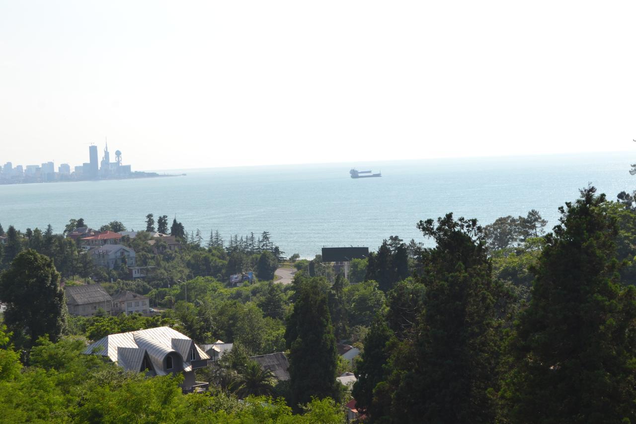 Sunny Hotel Batumi マヒンジャウリ エクステリア 写真